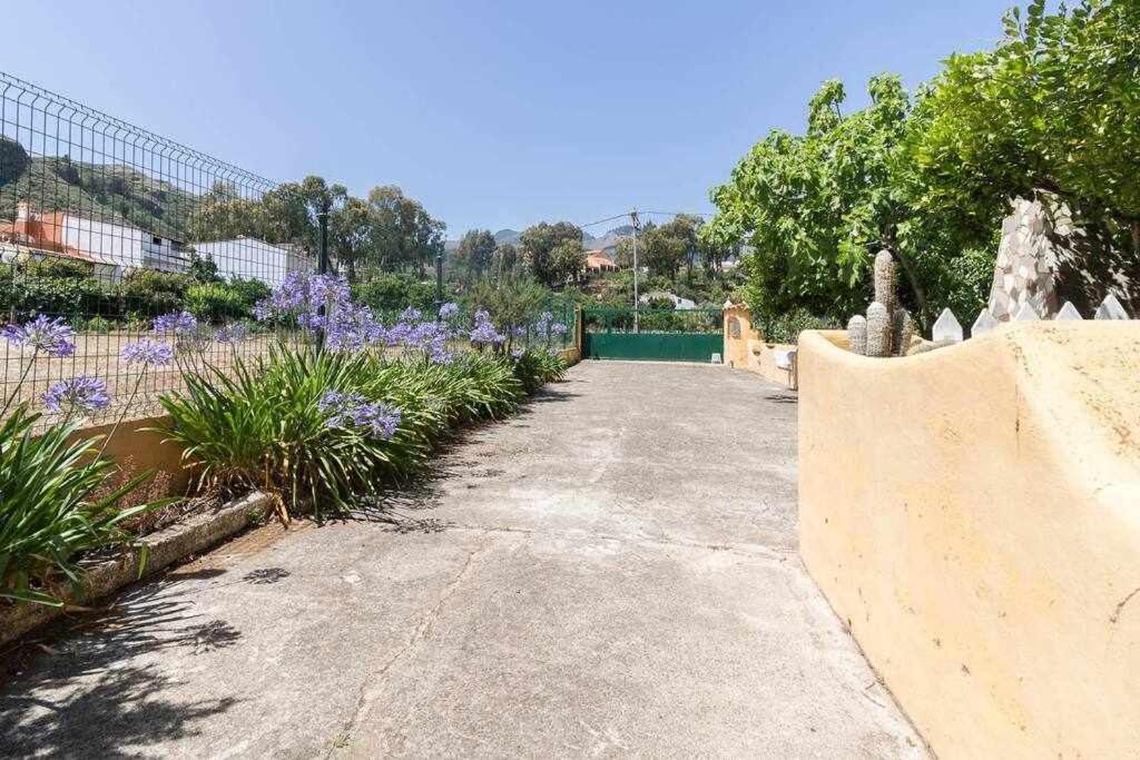 Villa Ojuelos Gran Canaria فيغا دي سان ماتيو المظهر الخارجي الصورة